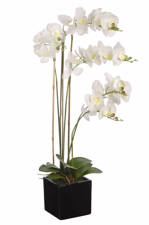 Искусственная Орхидея белая, в черном керамическом горшке 80 см, YW-36 фото на RBNG