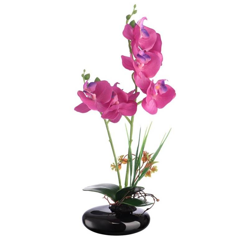 Цветочная композиция "Малиновая Орхидея ", В380, YW-40 фото на RBNG