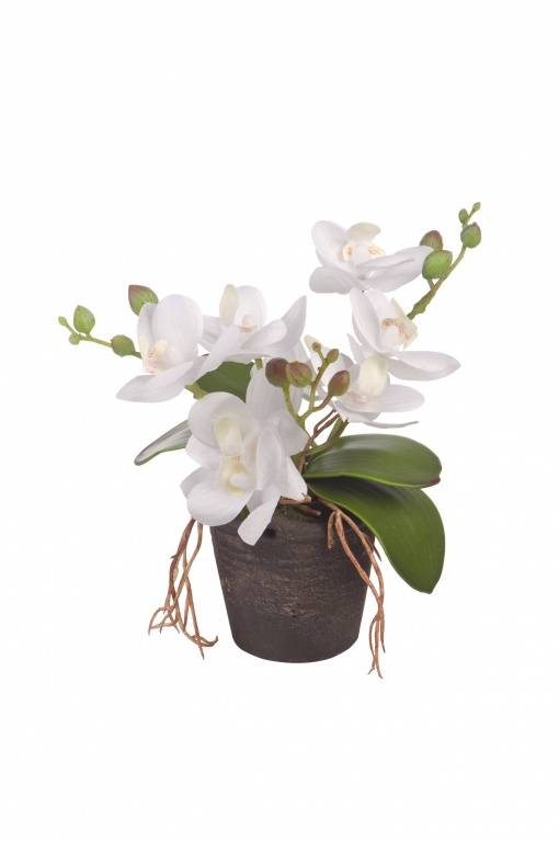 Цветочная композиция "Белая орхидея", В180, YW-29 фото на RBNG