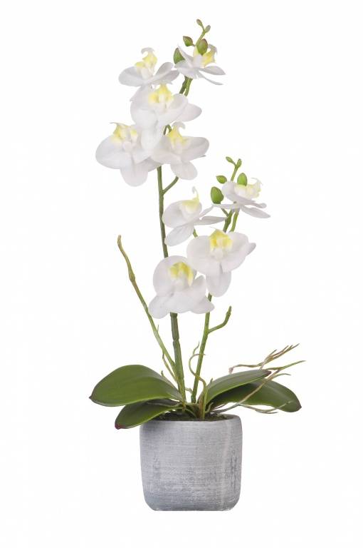 Орхидея в керамическом кашпо белая 36 см, YW-SUH29 фото на RBNG
