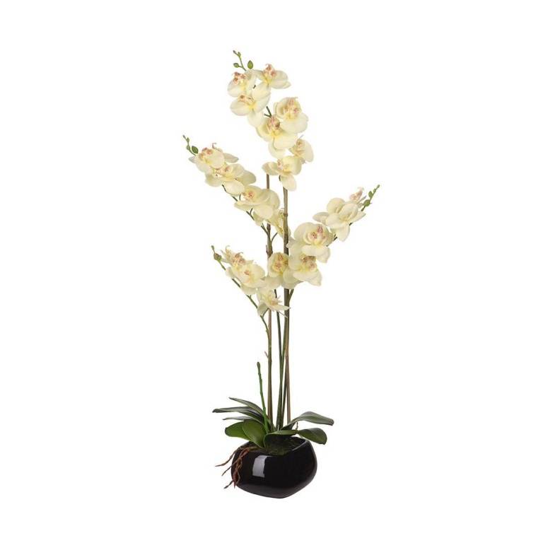 Цветочная композиция "Белая орхидея", В640, YW-35 фото на RBNG