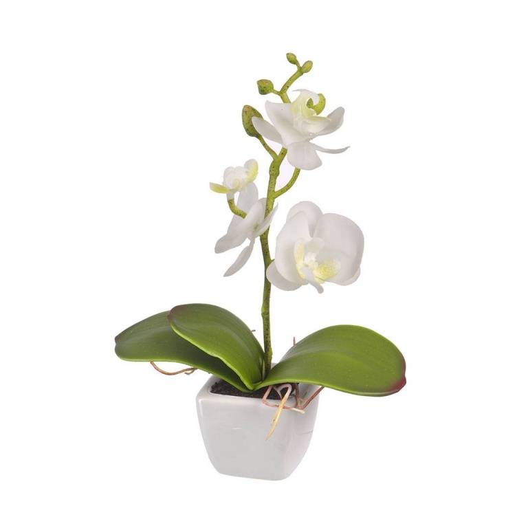 Цветочная композиция "Белая орхидея" 16 см, YW-33 фото на RBNG