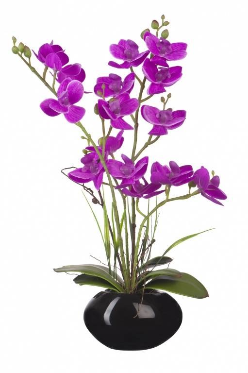 Орхидеи в керамическом кашпо фиолетовая 34 см, YW-SUH28 фото на RBNG